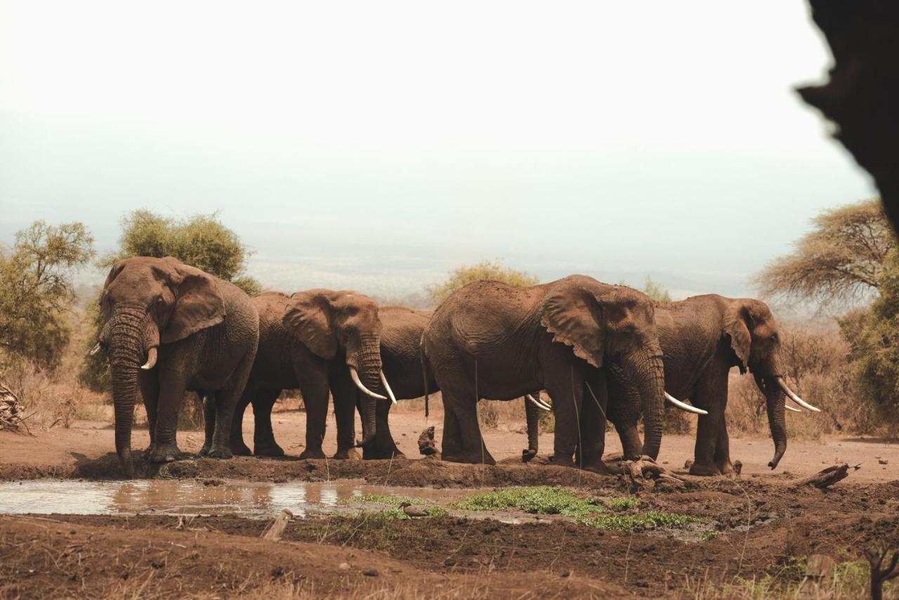 Tawi Lodge Amboseli Exterior foto